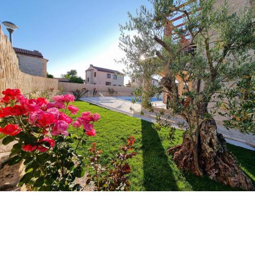 Villa Brioni private pool