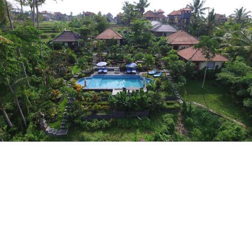 Villa Capung Mas Ubud