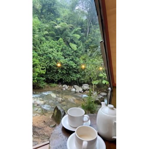 villa dan glamping lewi haja