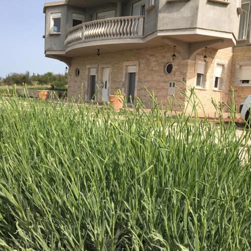 VILLA DOCI
