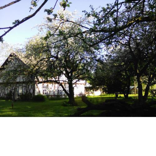 Villa Eden Peene