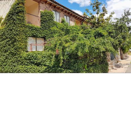 VILLA EMI