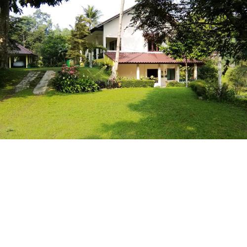 Villa (Entire) Teddy 6500m2 land@Gadog 650m above sea level.