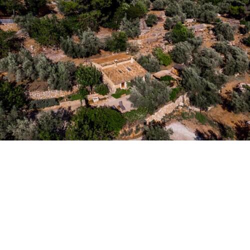 Villa Fornalutx World Heritage