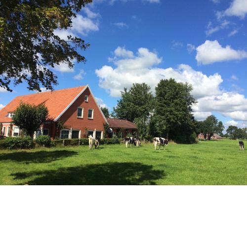 Villa für 10 Personen in Ostfriesland mit Kino, Bar, Sauna und Whirlpool - a57585