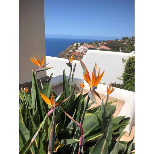 VILLA HIBISCUS