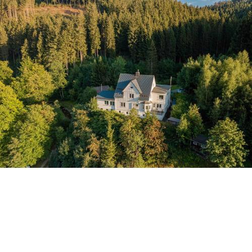 Villa Hoheneck