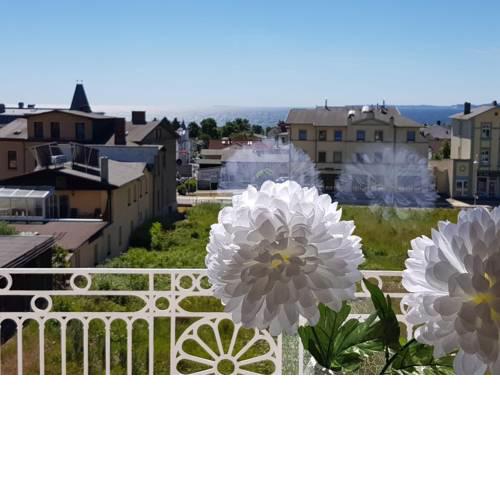 Villa Hubertus Apartment