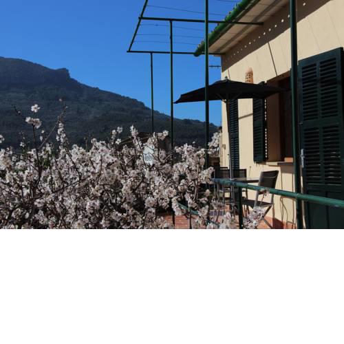 Villa Ideal