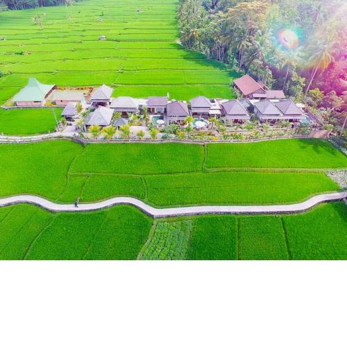 Villa JJ and Spa Ubud
