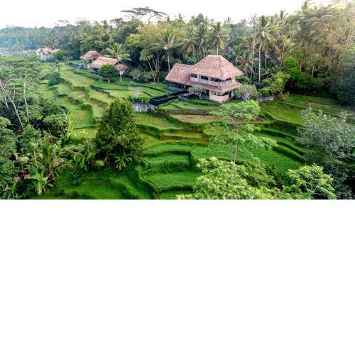 Villa Kelusa