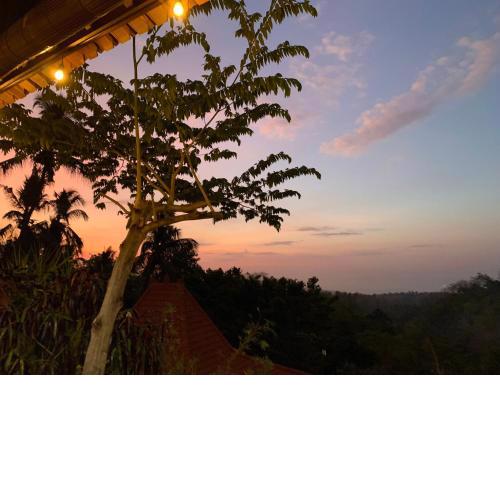 Villa Kepuh