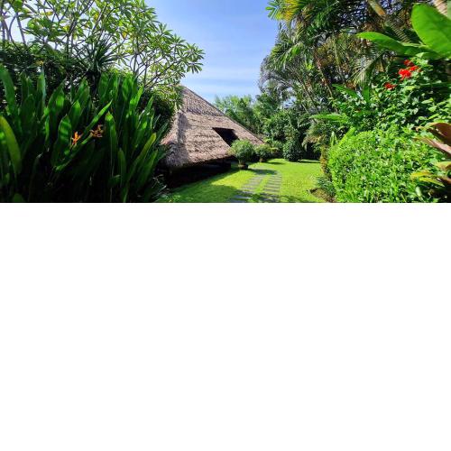 Villa Louise