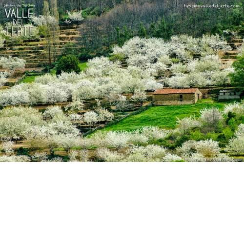 Villa Madruga
