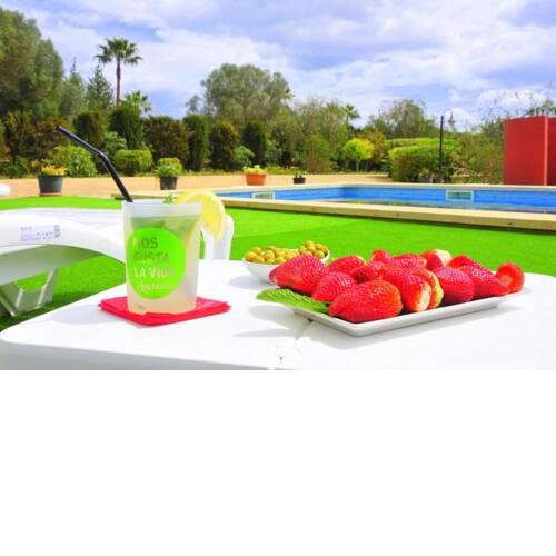 Villa Mallorca Paradise