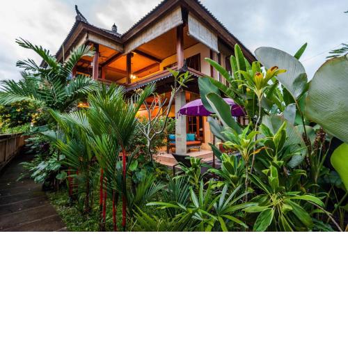 Villa Mangku in Ricefield