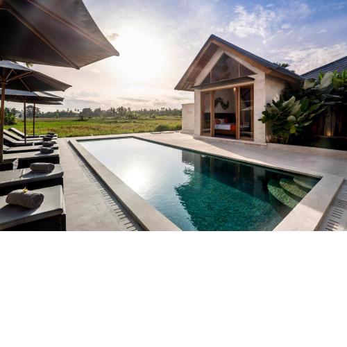 Villa Mango Paradise