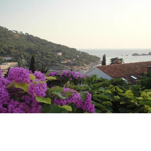 Villa Marija