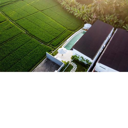 Villa Mayou by BaliSuperHost
