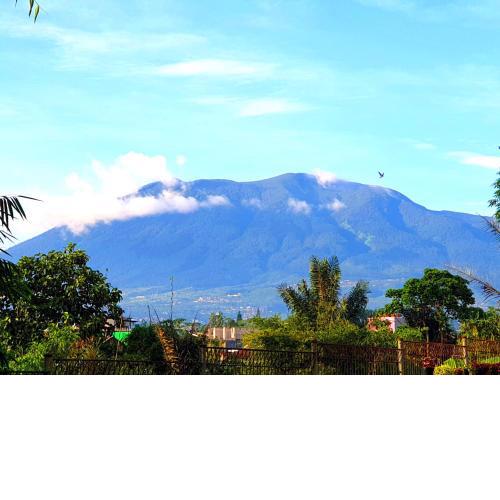 Villa Miky Kota Bunga Puncak Cianjur Bogor