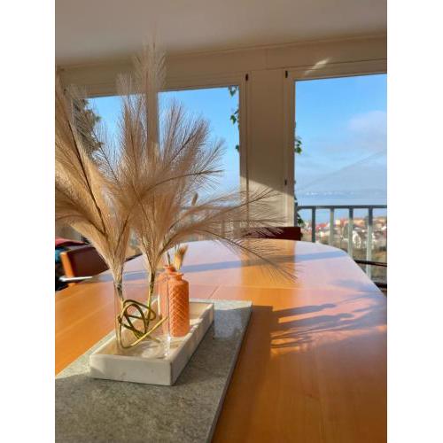 Villa mit traumhaftem Blick über den Bodensee