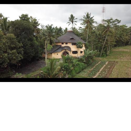 Villa Nautilus Treehouse