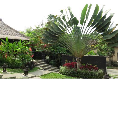 Villa Nirvana