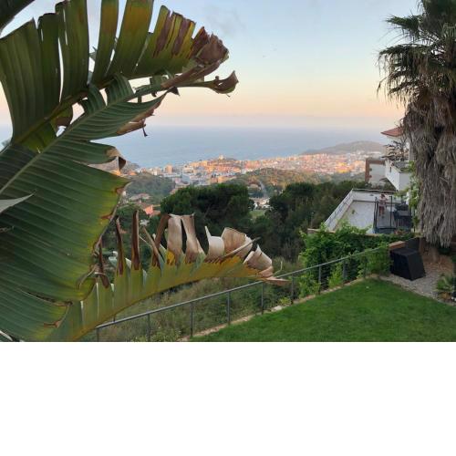 Villa Oasis Costa Brava