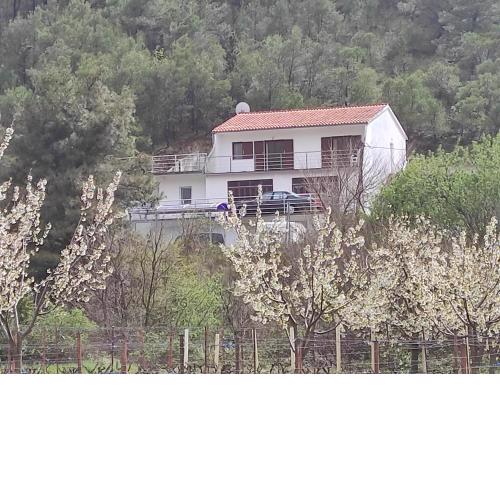 Villa Ordulj #8-10 People #WiFi #Quiet #Party #Family