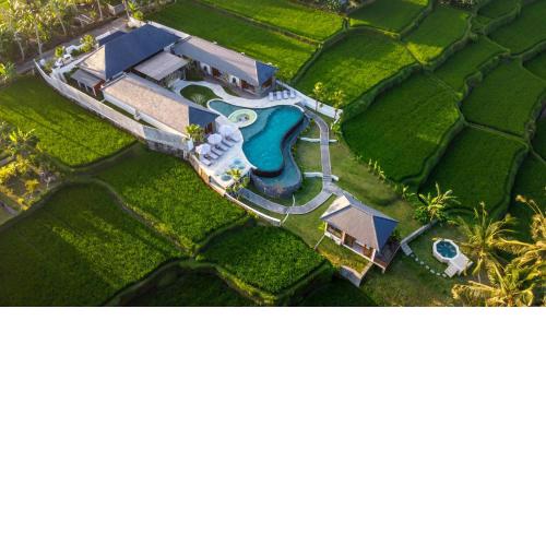 Villa Paradise