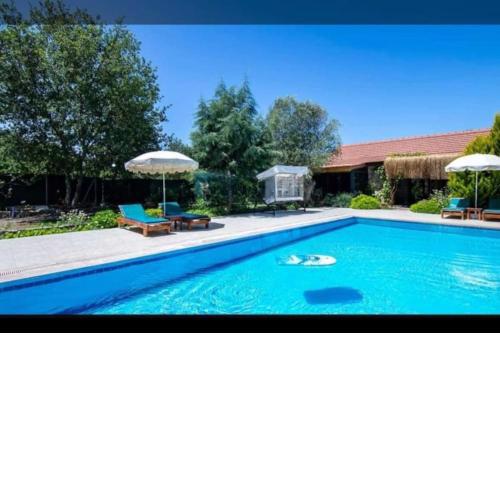 VILLA Pitzer 2
