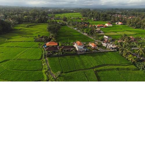 Villa Popolan and Guest House