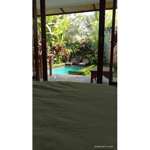 villa Rona1