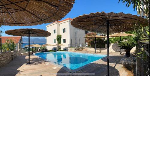 Villa Salena with pool Slatine