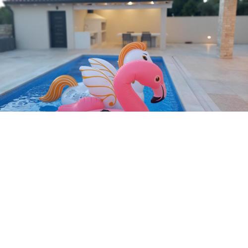 Villa Salvore - new house with heated pool near beaches - Istria