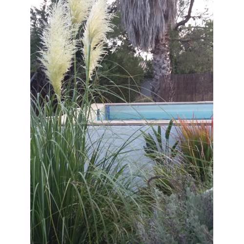 Villa San Angels B&B