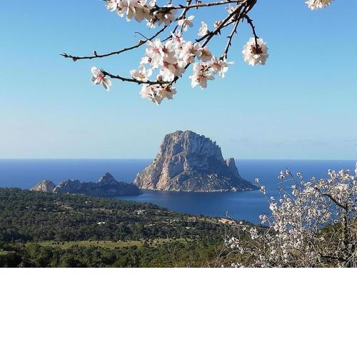 Villa Ses Abelles Sea view