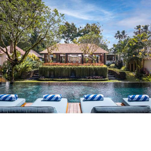 Villa Simona Oasis