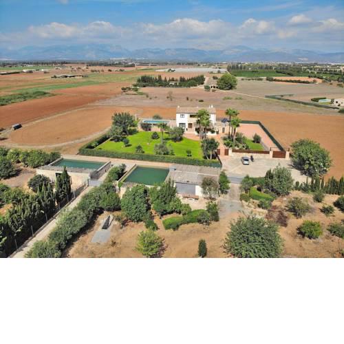 Villa Son Sastre, Muro 024