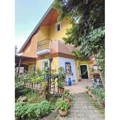 Villa surrounded by nature