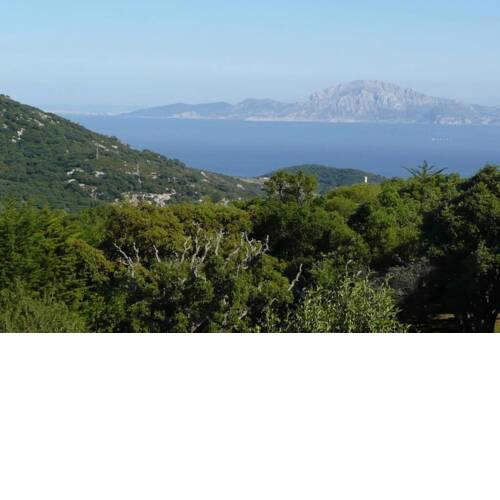 Villa Tarifa