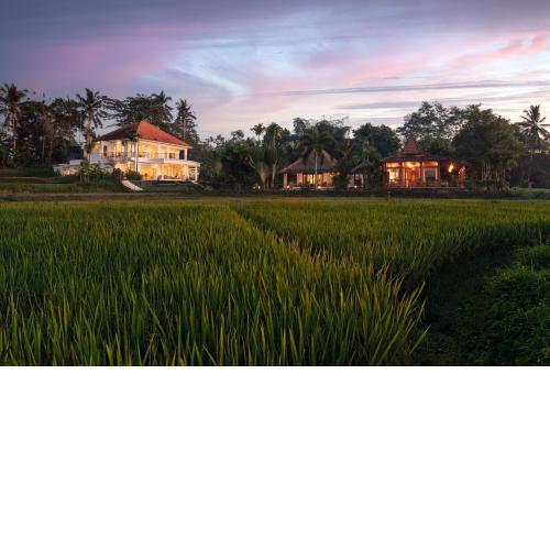 Villa Tau