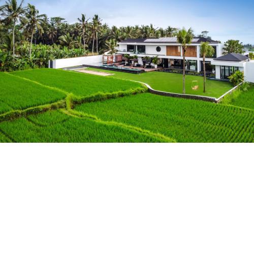 Villa Veni Vidi Vici by BaliSuperHost
