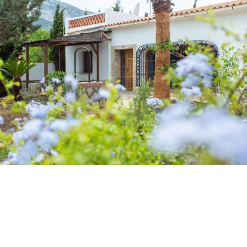 VILLA VENUS