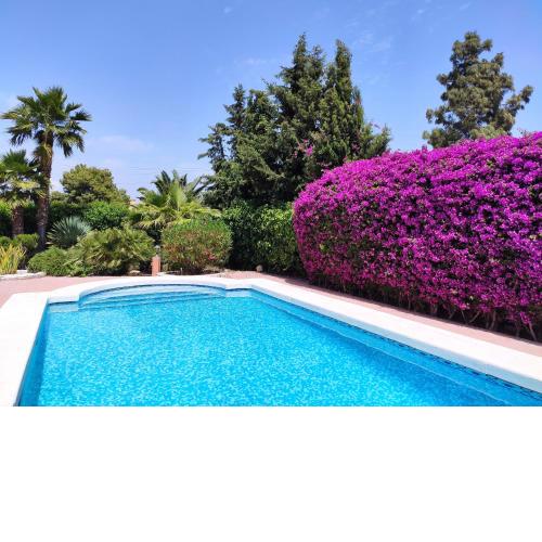 Villa with Private Pool in Alicante