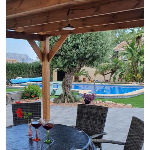 Villa with serene mountain views. Spacious garden with 10x5m pool.