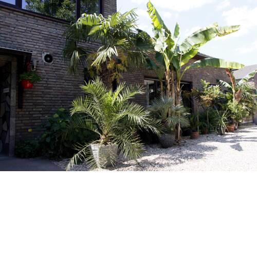 Villakunterbunt