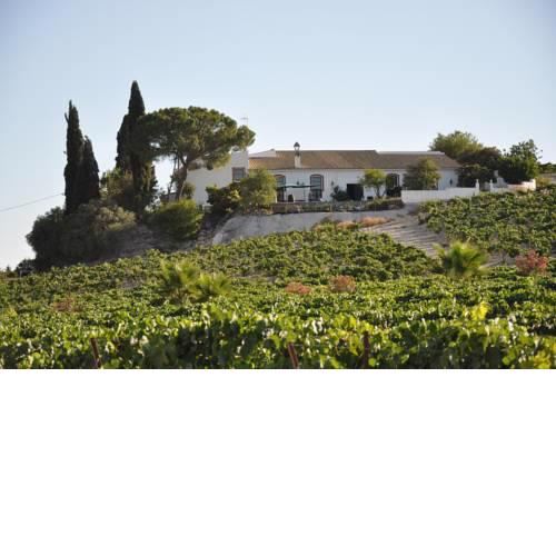 Viña Santa Petronila