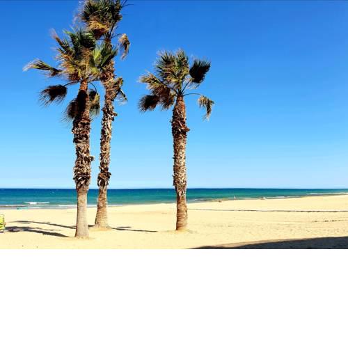 Viñamar La Mata