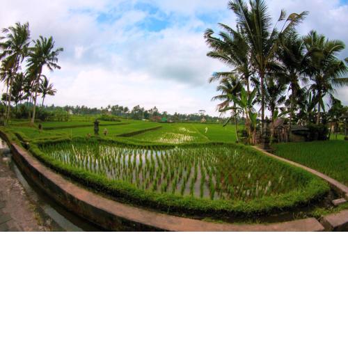 Vinarya Villa